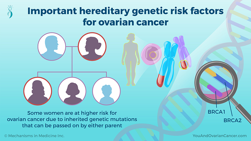 Important hereditary genetic risk factors for ovarian cancer