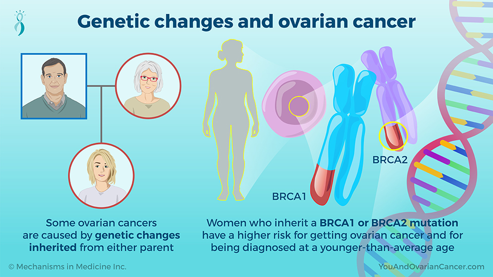 Genetic changes and ovarian cancer