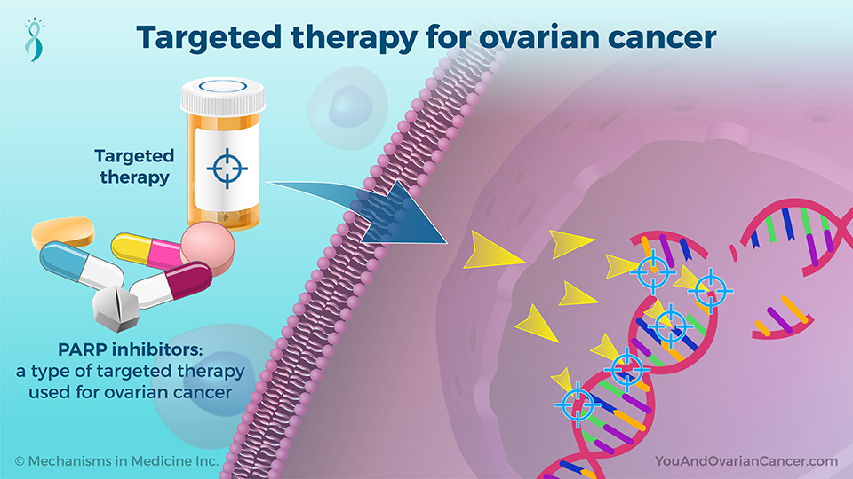 Targeted therapy for ovarian cancer
