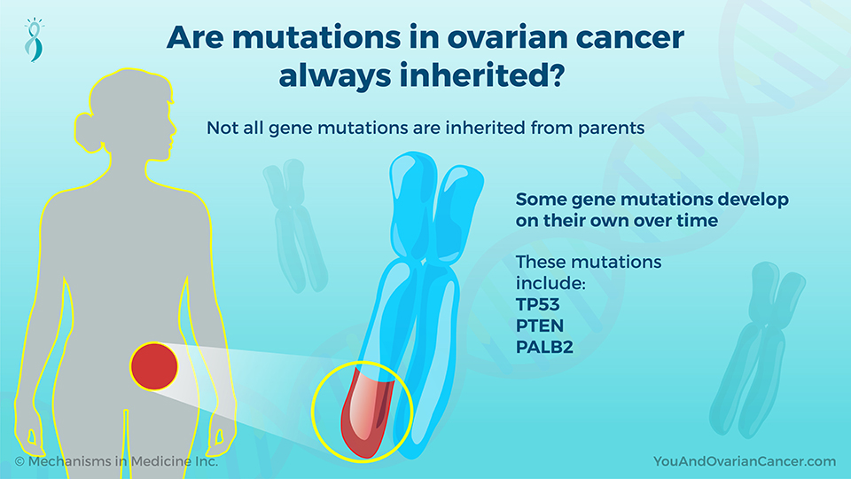 Are mutations in ovarian cancer always inherited?