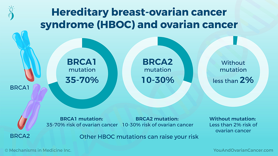 Hereditary breast-ovarian cancer syndrome (HBOC) and ovarian cancer