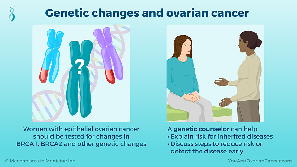Genetic changes and ovarian cancer 